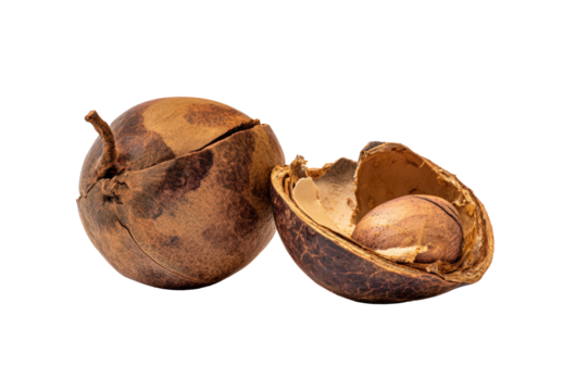 Roasted sapucaia nut shards on transparent background ideal for chocolate-bark topping charts and barista garnish guides
