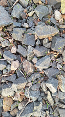 Natural background of scattered gray and brown stones with dry leaves and small green plants peeking through. A rugged, earthy texture
