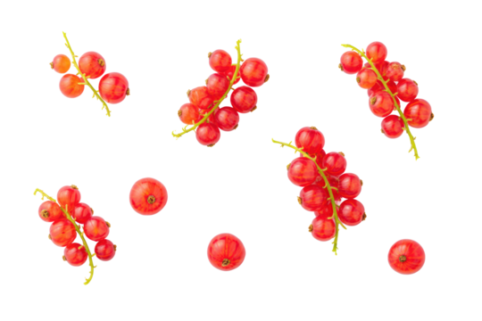 Loose red currants scattered on transparent background ideal for yogurt-topping charts and bakery social posts