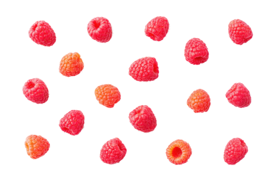 Minimal raspberry-seed motif on transparent background supplies playful texture to summer gelato wrappers and picnic gift tags