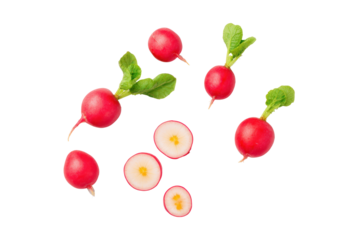 Radish half showing white flesh isolated on transparent background perfect for detox-juice infographic icons and pickling guides