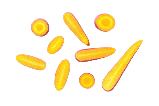 Minimal heritage-carrot motif on transparent background supplies organic texture to sustainable packaging prototypes