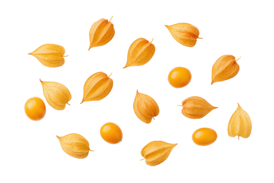 Scattered physalis-seed pattern on transparent background offers stylish texture for eco-chocolate wrappers and artisan-cider labels