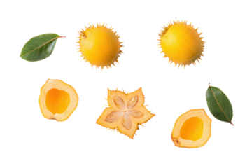 Aligned green pequi segments on transparent background ideal for botanical guide patterns and snack bar visuals