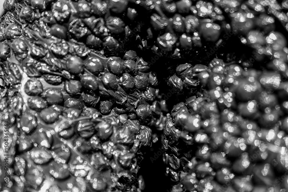 Poster a high-contrast close-up showcases a multitude of small, round objects, creating a textured, abstrac