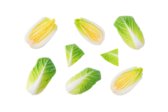 Minimal napa-cabbage motif on transparent background supplies leafy texture to probiotic drink labels