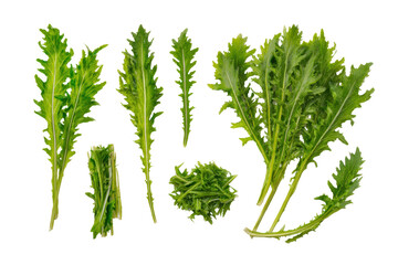 Single mizuna leaf isolated on transparent background delivers peppery flair to gourmet greens-mix...