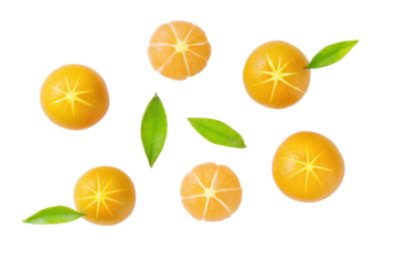 Minimal yellow mandarin-lime motif on transparent background lends sunshine accent to beach-bar merchandise