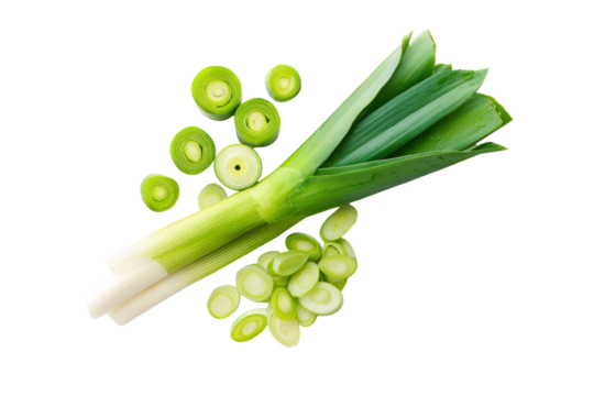 Minimal garden-leek motif on transparent background gives crisp linear texture to culinary-school brochure graphics