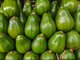 A vibrant close-up showcases a bountiful arrangement of fresh avocados, their textured green skins...