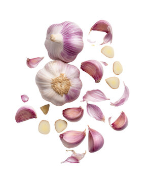 Whole garlic bulb top view isolated on transparent background, perfect for rustic-kitchen graphics