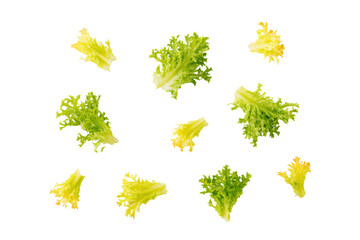Bright frisée curls aligned top view, isolated on transparent background, ideal for calorie-smart charts and salad-bar icons