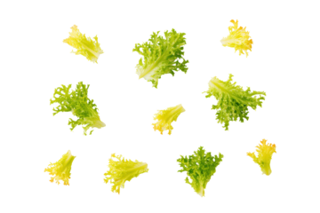 Bright frisée curls aligned top view, isolated on transparent background, ideal for calorie-smart charts and salad-bar icons