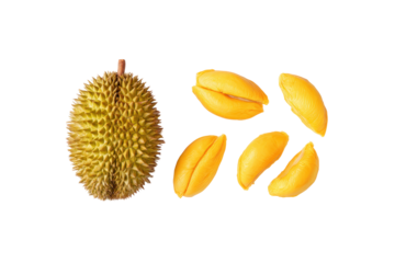 Minimalist durian slice pattern evenly spaced, isolated on transparent background, excellent for infographic icons and snack-pack art