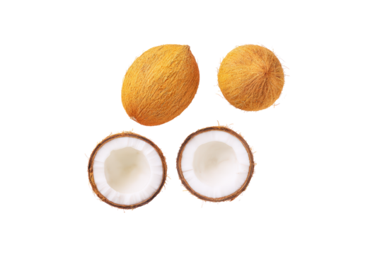 Minimalist coconut shell pattern illuminated evenly, isolated on transparent background, excellent for beach-party flyers and organic skincare labels