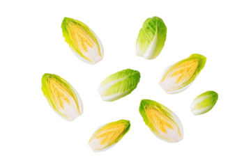 Neat radicchio slices grid flat-lay, isolated on transparent background, great for diet-tracker visuals and wine-pairing charts