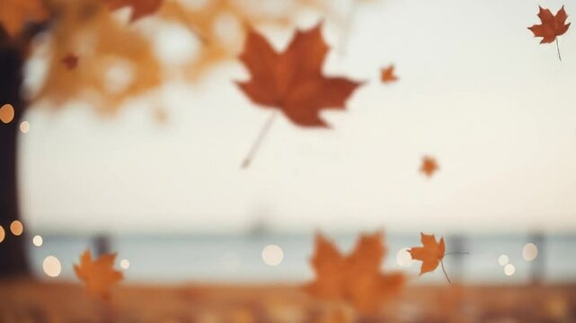 Falling Autumn Leaves with Gratitude Quote Seasonal Slow Motion