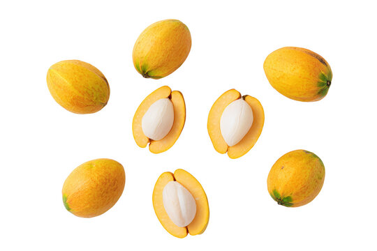 Symmetrical bacuri pattern isolated on transparent background, excellent for cosmetic antioxidant serum labels and packaging