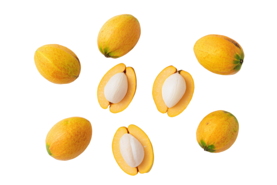 Symmetrical bacuri pattern isolated on transparent background, excellent for cosmetic antioxidant serum labels and packaging