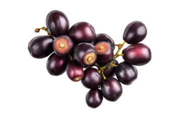 Minimalist bacaba berry pattern isolated on transparent background, excellent for clean menu designs and wellness publications