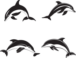 Naklejka premium Dolphin Svg Bundle