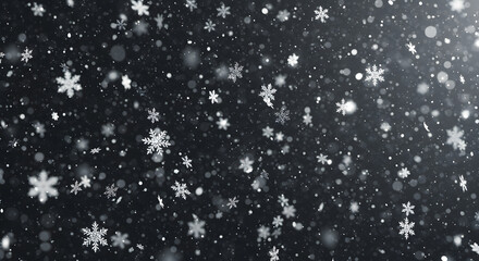 Falling Snowflakes on Dark Background