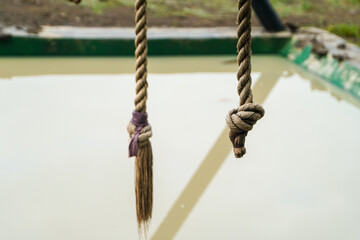 A pair of weathered ropes hang suspended, bearing testament to countless adventures and playful escapades, capturing a sense of nostalgic charm and evoking thoughts of childhood games.