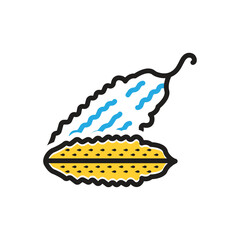 Multi color icon for bitter gourd