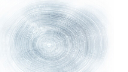 Light gray blue monotone impression of end grain of wood slab. Tree rings art with texture and...
