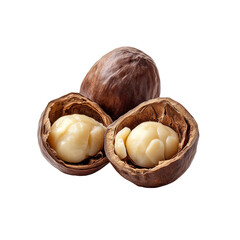 Close-up of Macadamia Nuts, Cracked Open, Showing Creamy White Kernels