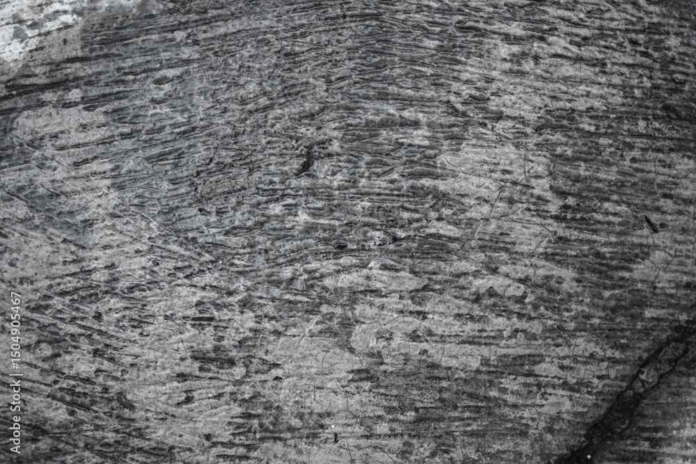 Poster an abstract background showing a textured grayscale design, highlighting a blend of light and dark t