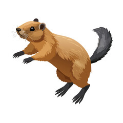 Fototapeta premium Marmot jump Adobe Illustrator Artworkisometric vector illustration with clean geometry and modern design