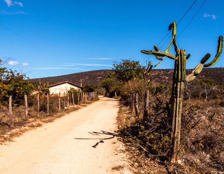Sert&atilde;o Cearense: The Rustic Beauty and Life in the Northeastern Semiarid Region