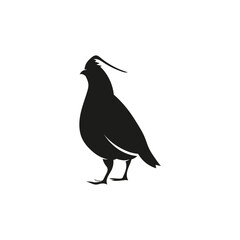 Clean and modern Qual logo featuring sleek typography and a subtle checkmark or abstract symbol, ideal for quality-focused brands, tech companies, and professional services emphasizing trust and excel