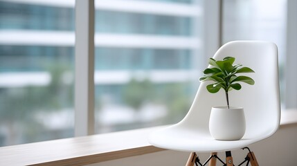 Minimalist office corner with ergonomic chair and plant, conveying modern simplicity and calm productivity.