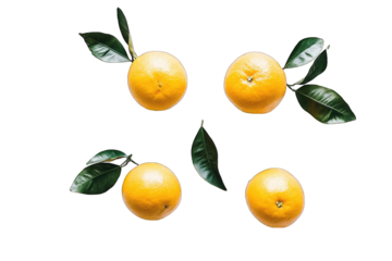 Four vibrant oranges with glossy skin and dark green leaves arranged on a black background, viewed from directly above