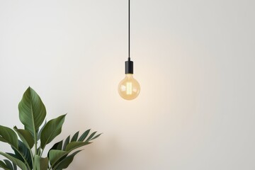 Relocation home improvement concept. A modern light bulb hangs over a green plant against a neutral wall.