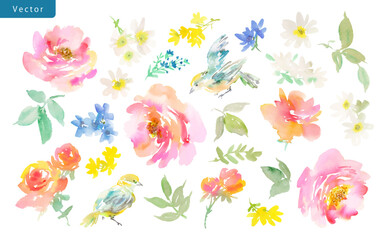 Watercolor Abstract Pink Peonies, blue birds, Wildflowers, and Leaves Vector Illustration Set / Hand-Painted Floral Background clip art set for Spring and summer.