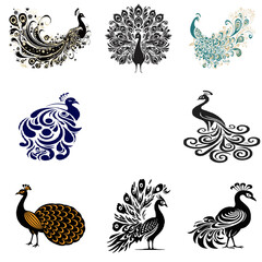 set of decorative elements for design