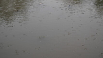 A blurred background adds depth and focus, enhancing subject clarity in photos or visual designs.