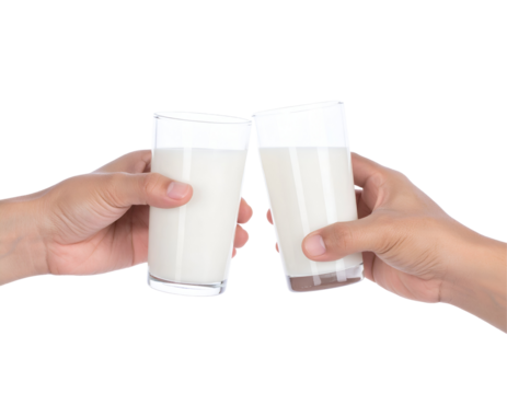 Two Hands Toasting Clear Glasses Filled With White Liquid Against Transparent Background