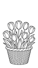 Tulips in a Basket Fresh Spring Flowers in Black and White Line Drawing Art