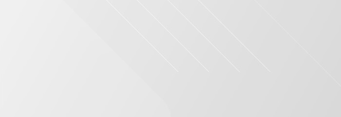 Abstract white background. luxury background. vector