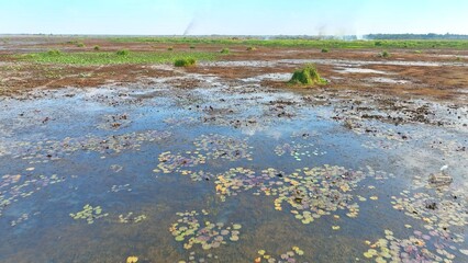 Behold an aerial panorama of a sparse wetland, its terrain adorned with scattered verdant patches amidst muddy stretches, exemplifying the harmonious coexistence of life within a diverse ecosystem.
