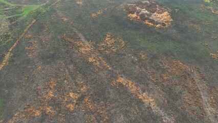 Aerial shot captures the aftermath of agricultural burning, raising concerns about air quality, biodiversity, and soil health.

