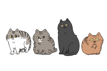 猫　黒猫　ネコ　キジネコ