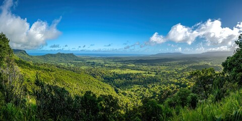 A panoramic view of an untouched tropical rainforest, with treetops stretching into the horizon