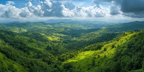 Naklejka premium A panoramic view of deep green slopes covered in dense forests and meadows