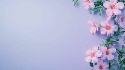 Isolated bouquet of soft purple and pink flowers arranged only on the lower right corner of a pastel purple background,