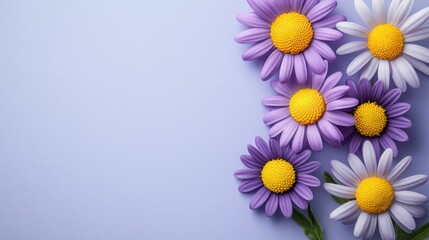 daisy flowers on a blue background